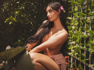 Profile preview